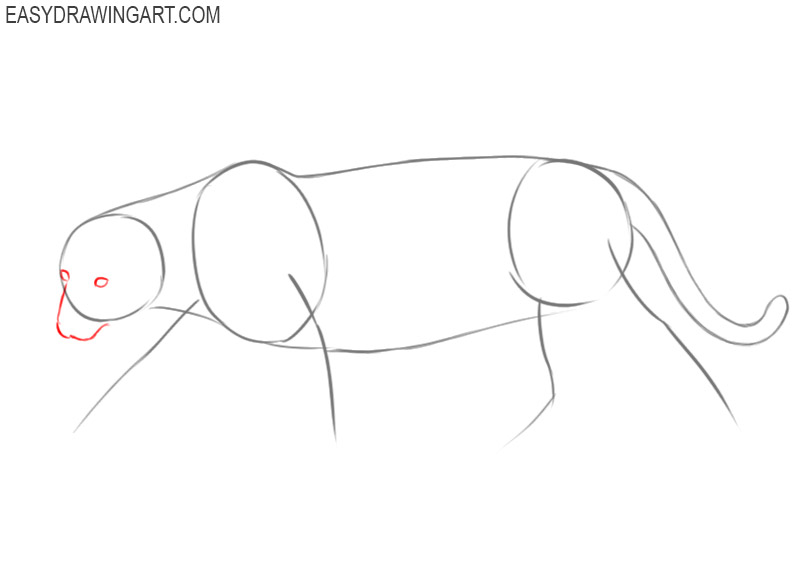 Jaguar drawing instruction