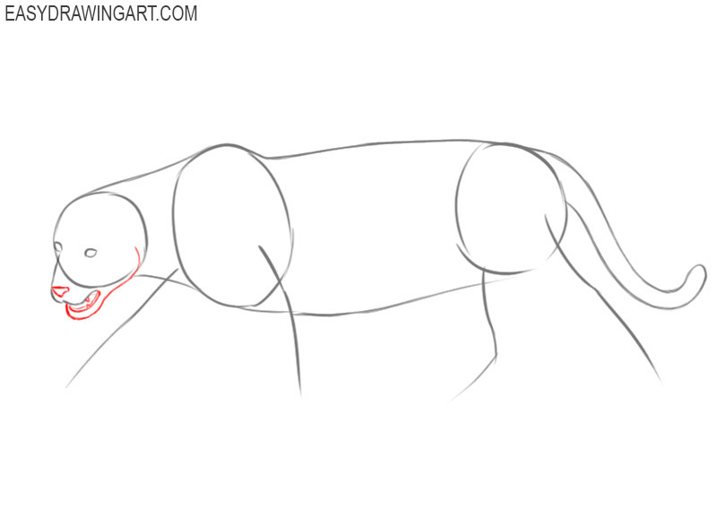 How to draw animals