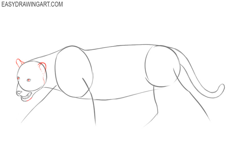 How to draw a jaguar animal easy
