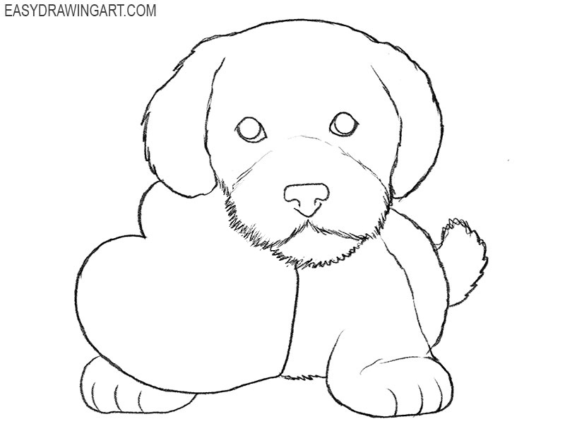 9 valentine dog drawing tutorial