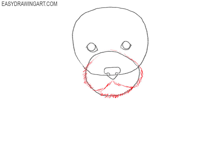 valentine dog drawing guide