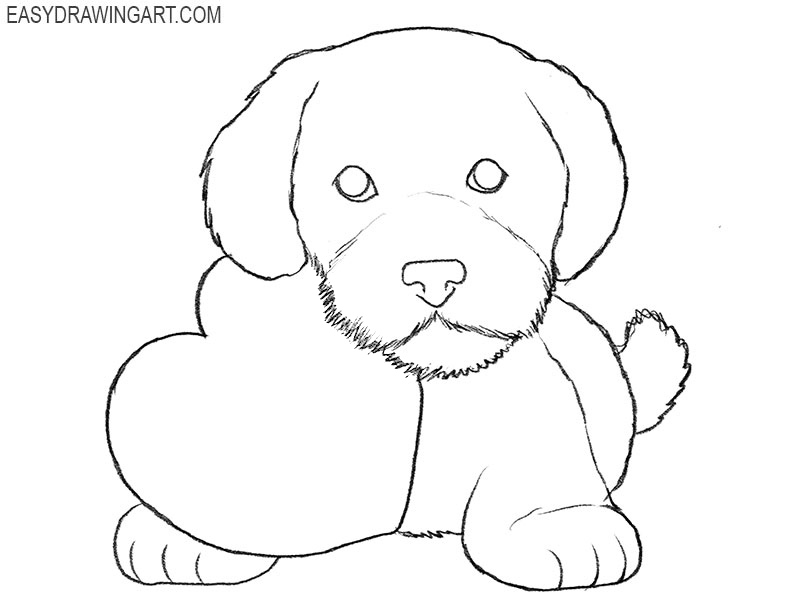 valentine dog drawing tutorial