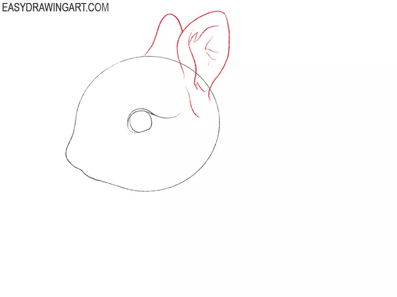 how to draw a realistic bunny art hub