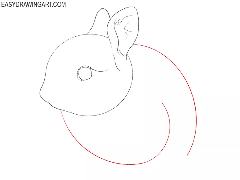 how to draw a realistic bunny for beginners