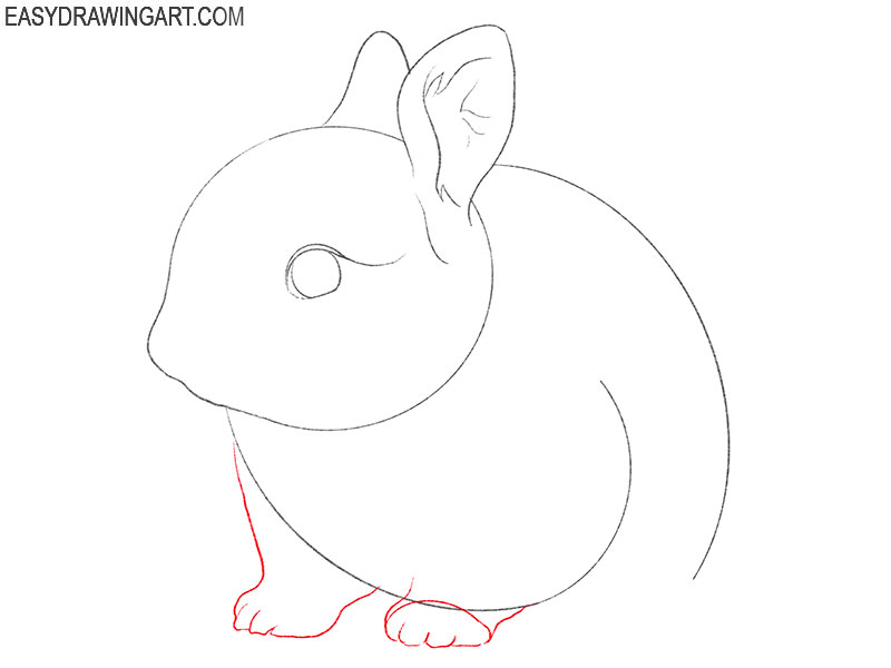 how to draw a realistic baby bunny