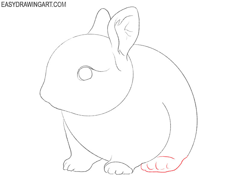 how to draw a baby bunny realistic