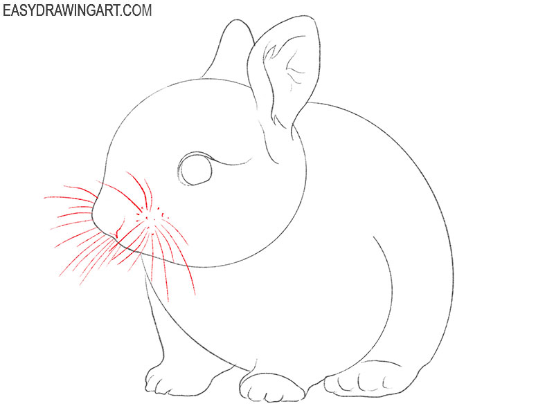 how to draw a cute realistic bunny