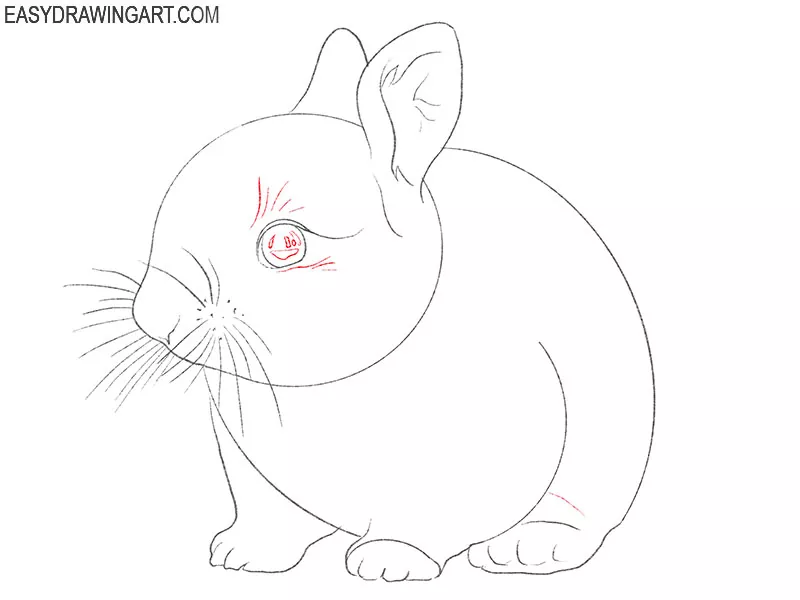 how to draw a cute bunny step by step