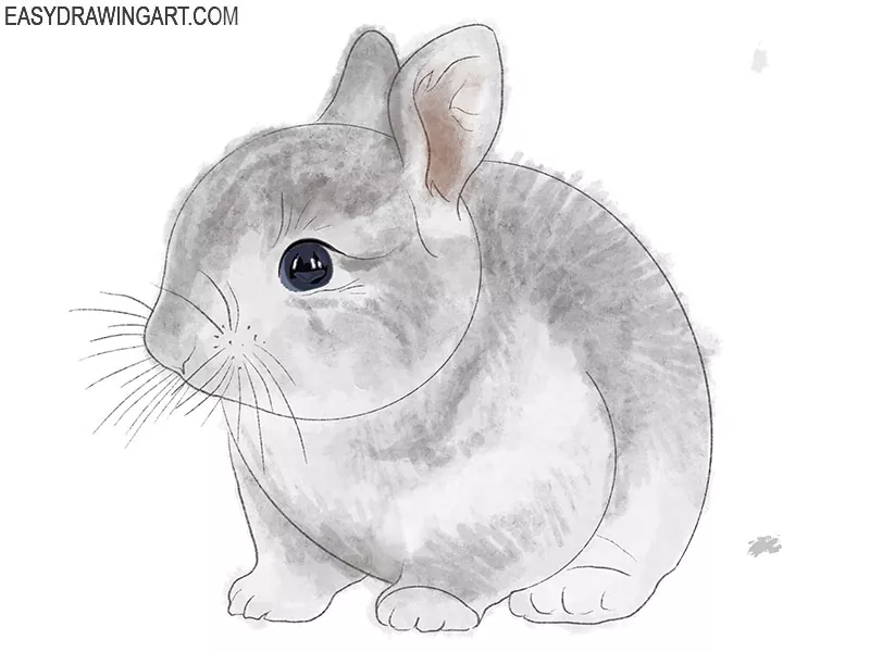 Sitting Bunny * Drawing to Print » Зумипик