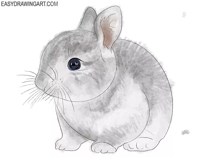 cute bunny drawing easy