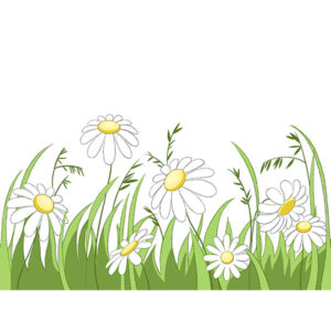 how to draw a field of flowers