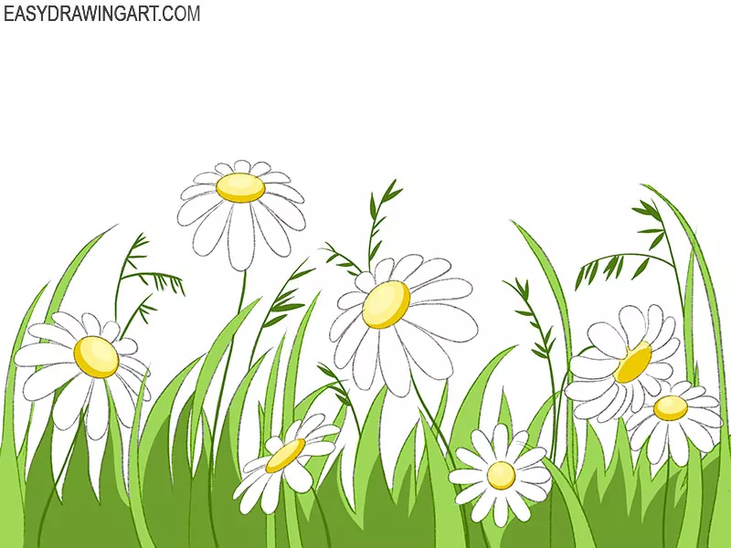 field of flowers drawing simple
