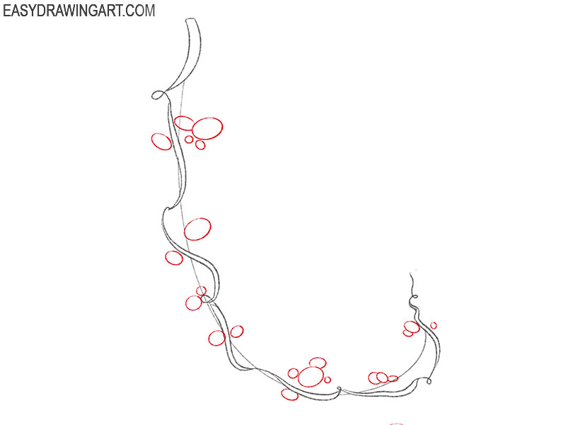flower vine drawing guide