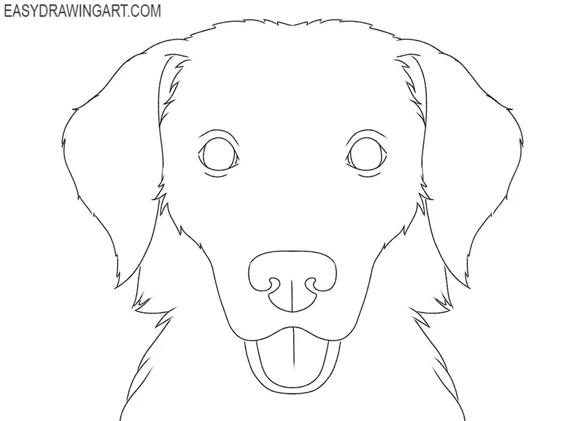 how to draw a dog face step by step realistic