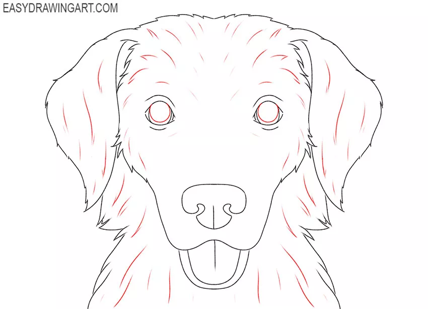 how to draw a simple dog head