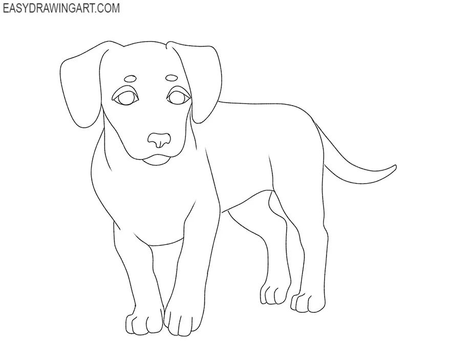 small dog drawing guide