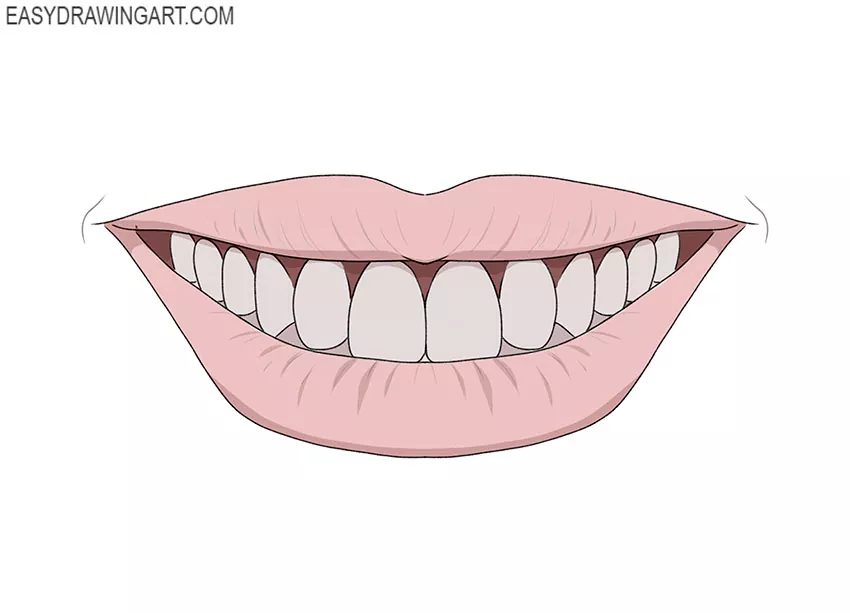 DRAW IT NEAT How to draw tooth diagram labeled