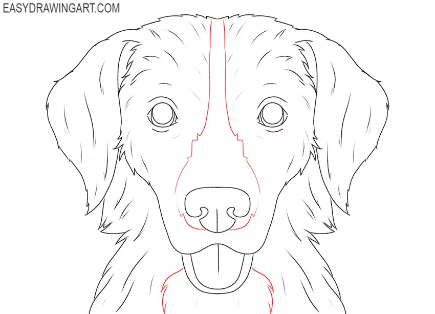 how to draw a small dog head