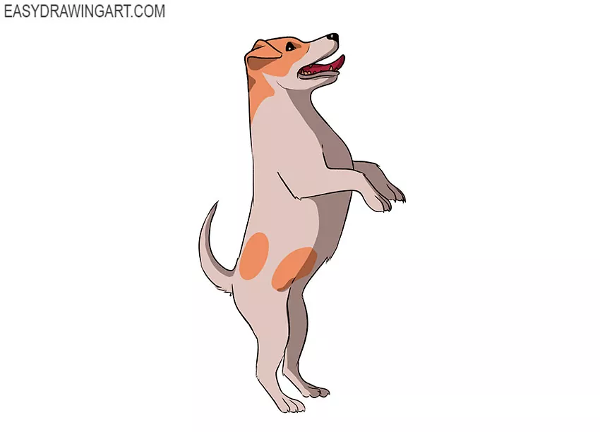 simple standing dog drawing step by step
