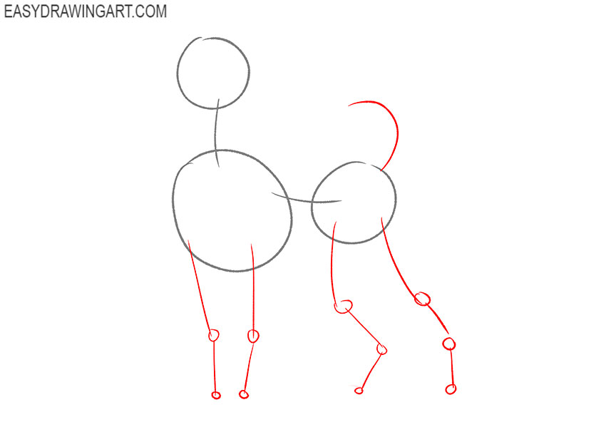 how to draw a poodle realistic