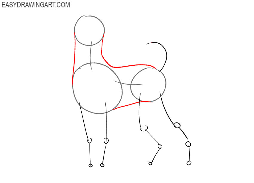 how to draw a poodle art hub