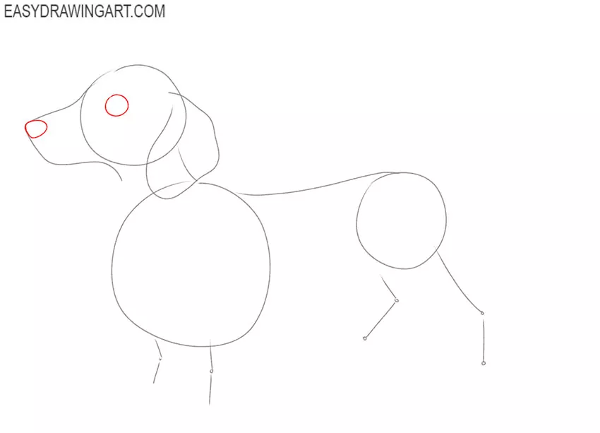 how to draw a dachshund easy