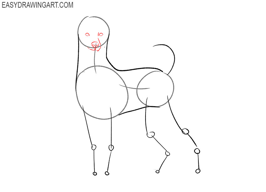 how to draw an easy poodle