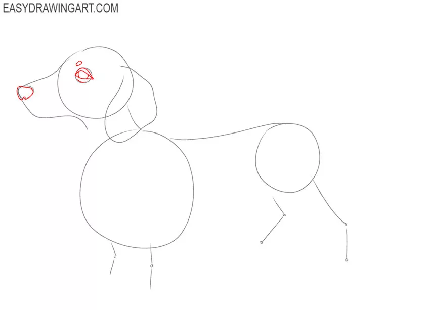 how to draw a cute dachshund