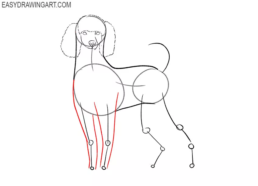 how to draw a cartoon poodle