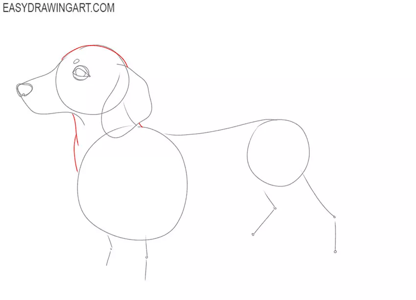 how to draw a realistic dachshund