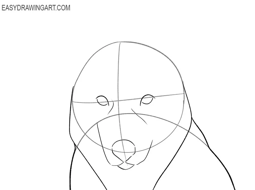 husky face drawing