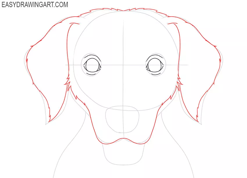 how to draw a cute dog head
