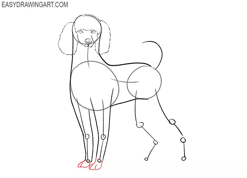 how to draw a cute poodle puppy