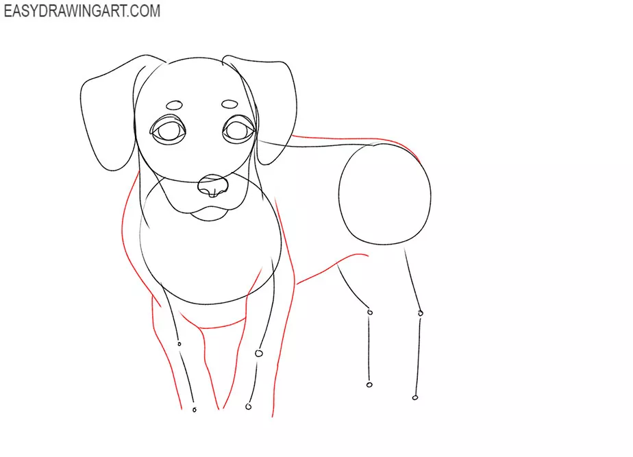 how to draw a simple dog for kindergarten