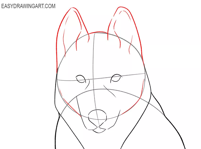 husky face drawing for kids