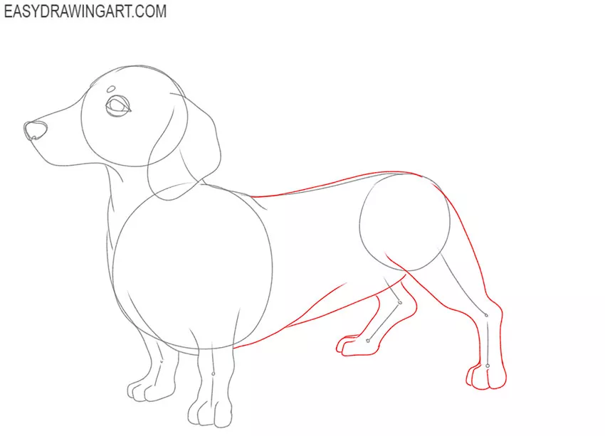 how to draw a cute dachshund puppy