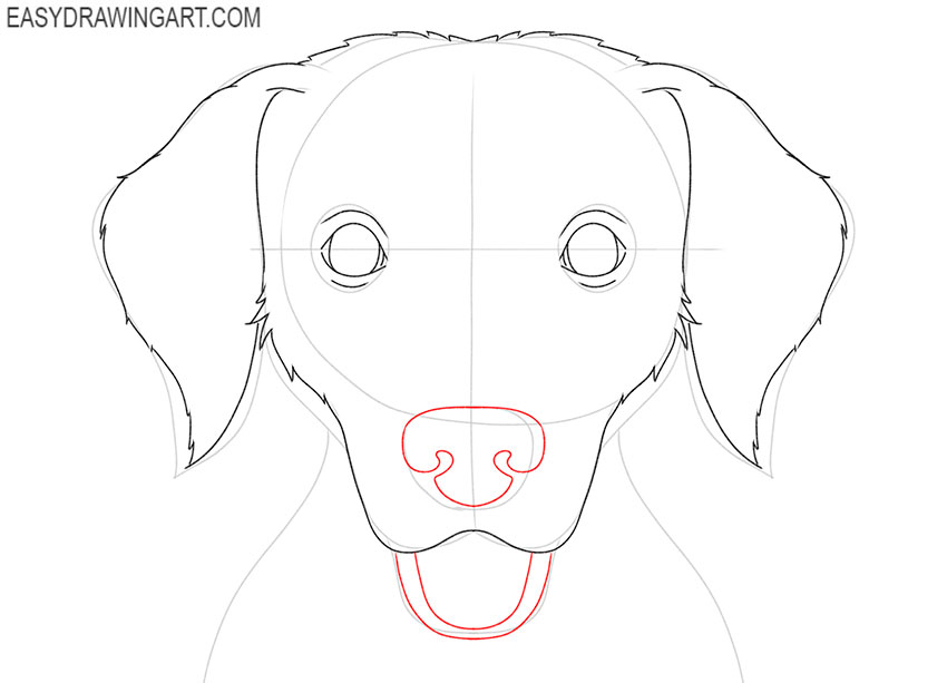 how to draw a realistic dog face step by step