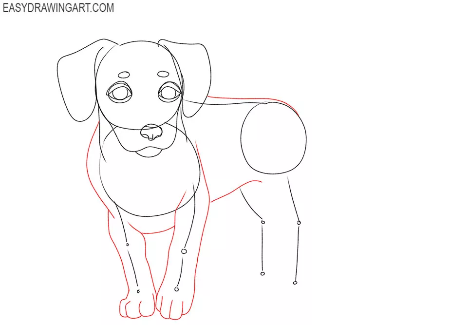 how to draw a realistic small dog