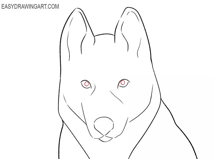 husky face drawing for beginners