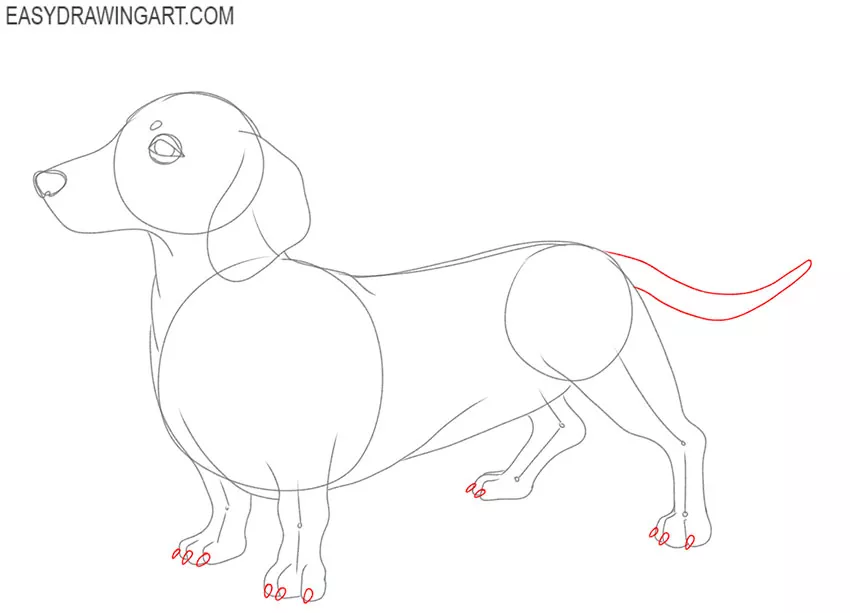 how to draw a dachshund puppy easy