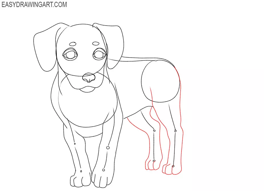 small dog drawing lesson
