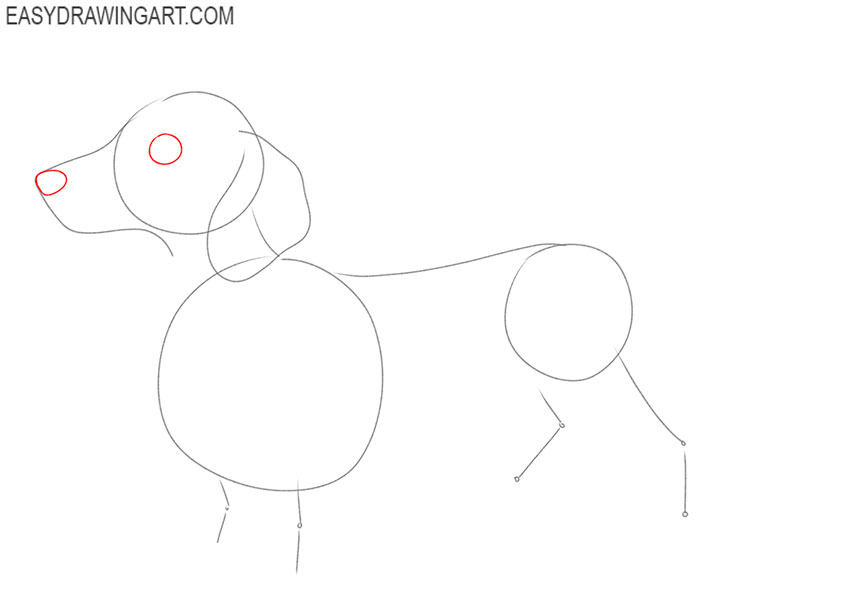 how to draw a dachshund easy