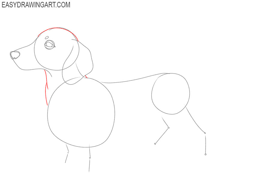how to draw a realistic dachshund