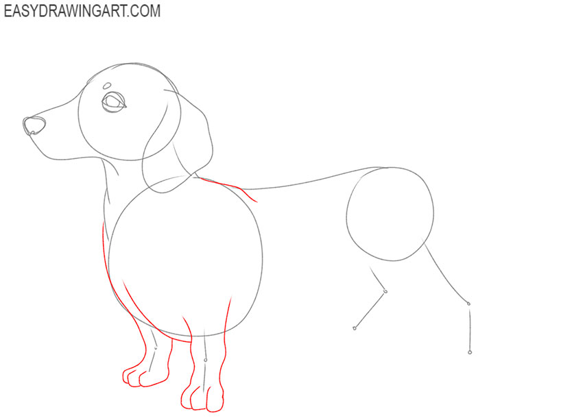 how to draw a cartoon dachshund