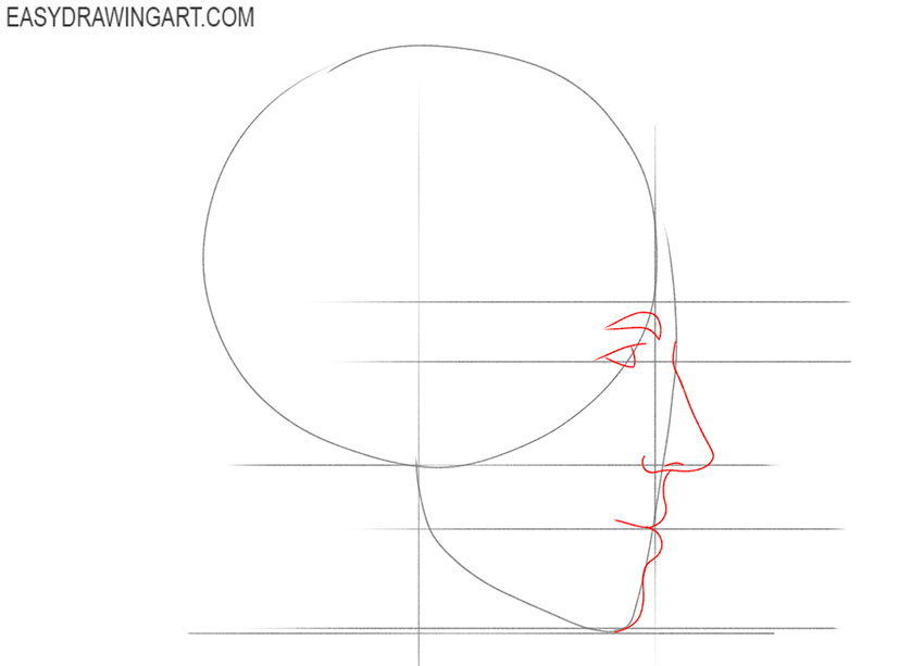 face from the side drawing step by step