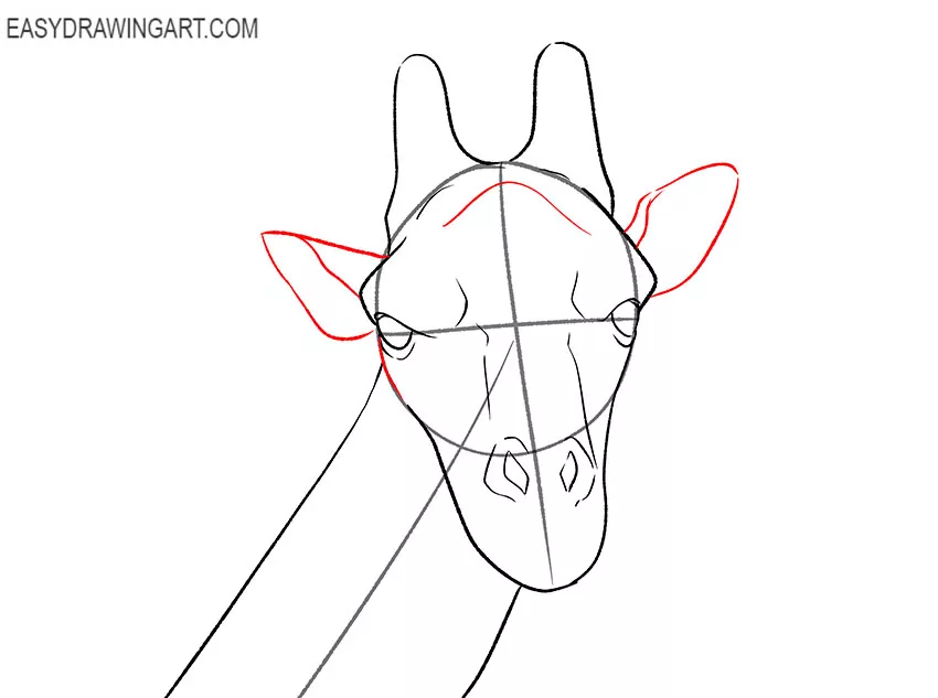 how to draw a giraffe realistic