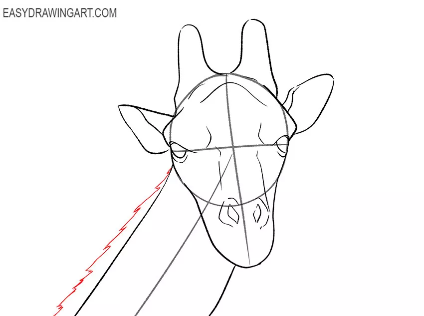 giraffe face drawing lesson
