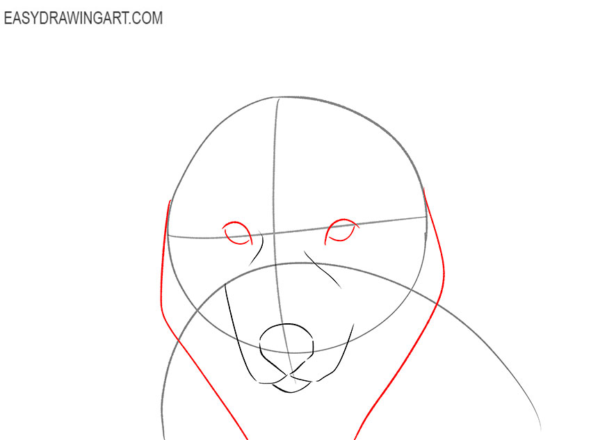 how to draw a simple husky face