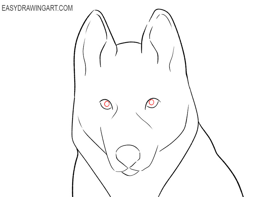 husky face drawing for beginners