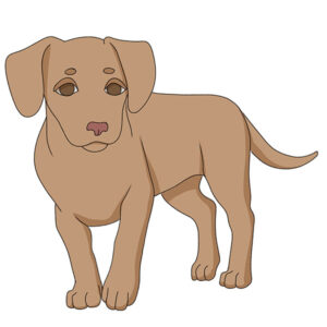 how to draw a small dog